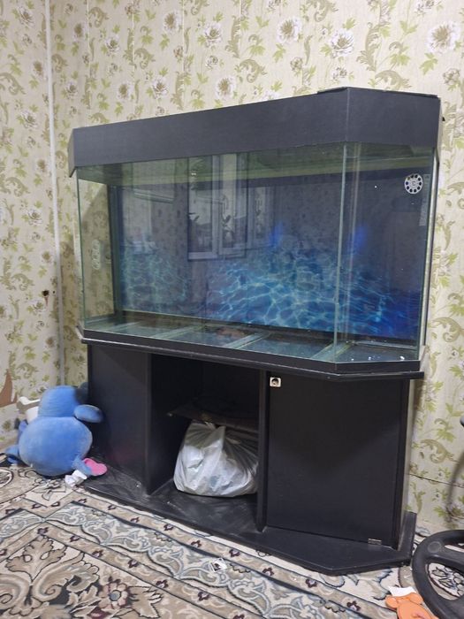 Аквариум  срочно