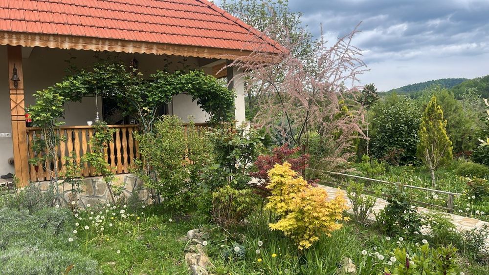 Vălenii de Munte- sat  Ogretin
