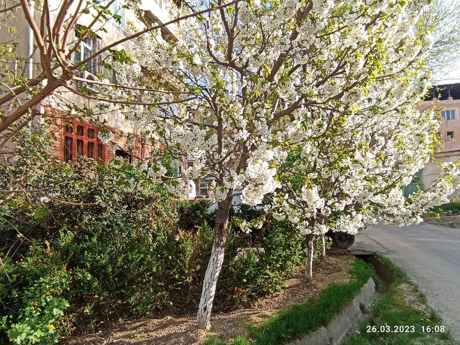 ‼️Qora-qamish 2/4 da kvartira