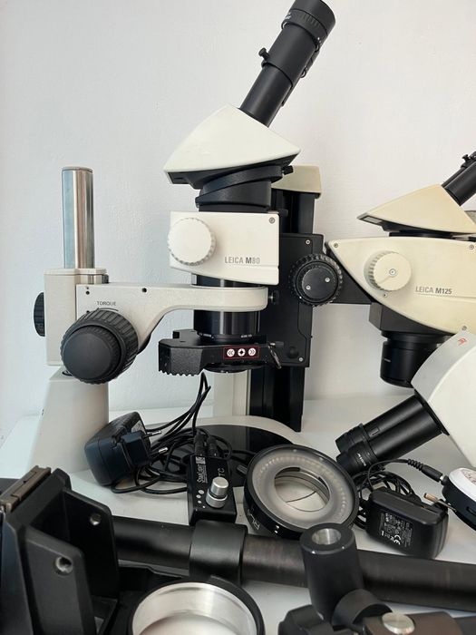Microscop leica Mz6, M80, M125, sistem iluminare