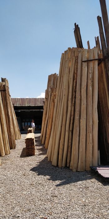 Terak 2.5 m dan 6 m gacha tosin bryus strapila