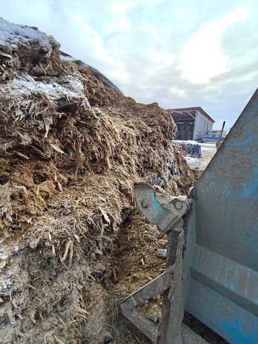 Siloz de porumb 2025