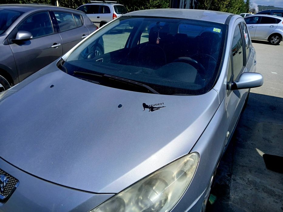 Vand Peugeot 307