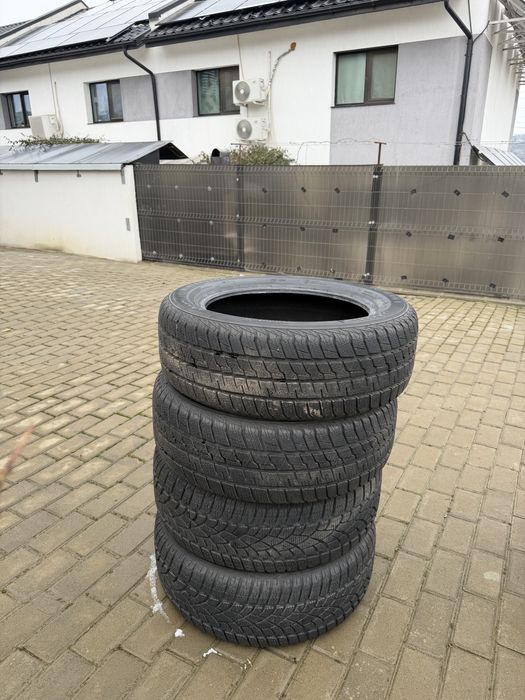 Cauciucuri De Iarna 205/55 r16