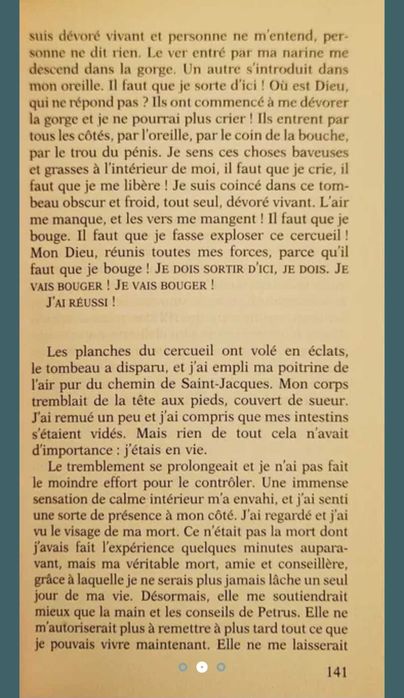 Френска художествена литература