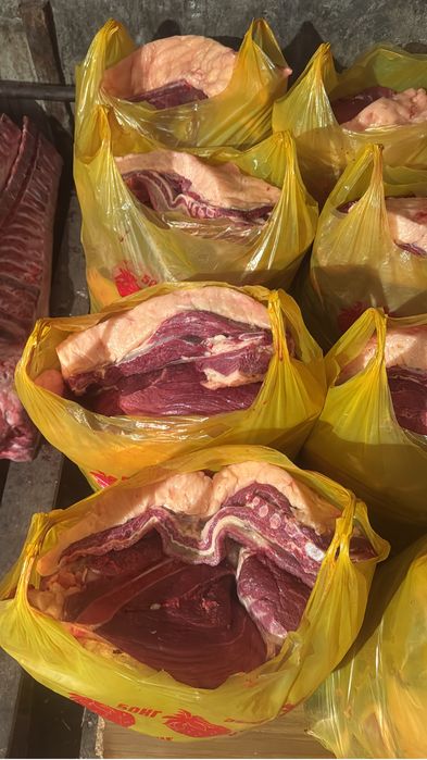 Продам мясо конины