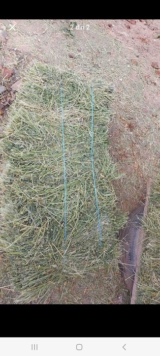 De vânzare baloți lucernă