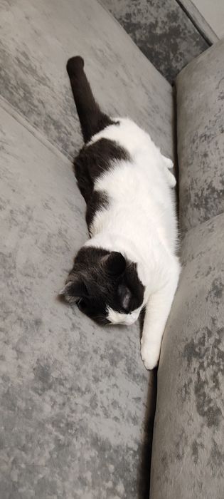 Продам диван 150.000