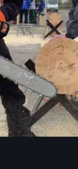 Daraxt kesish xizmati sadovnik.