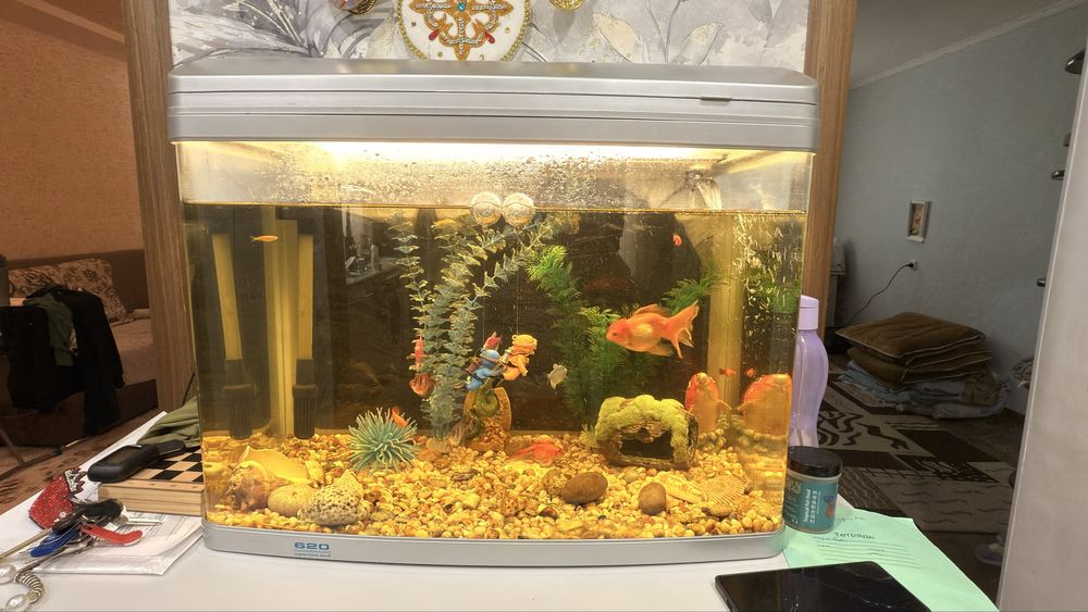 Продам аквариум с рыбками
