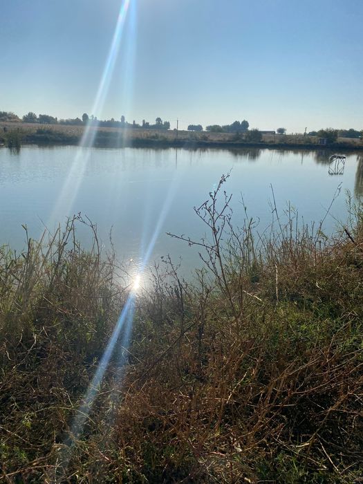 Отдых на рыбхозе, рыбалка, свежий воздух, сазан!!