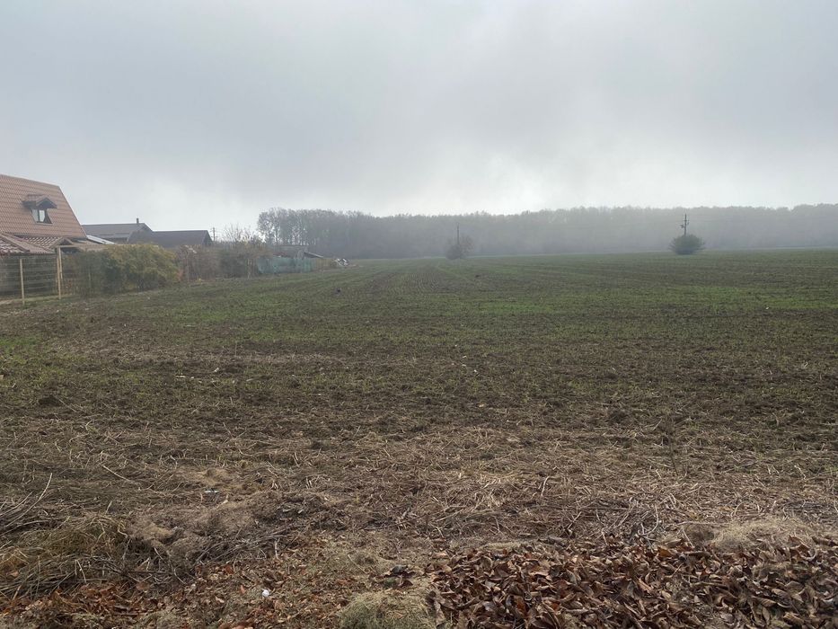 Teren intravilan Snagov Padure 42€/mp