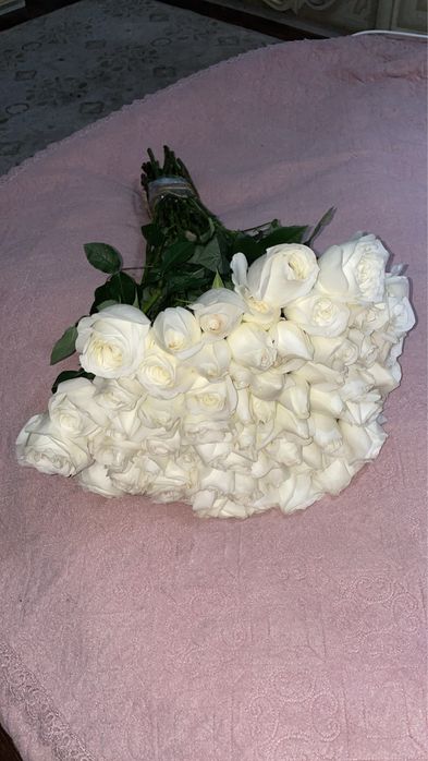 Цветы роза свежий