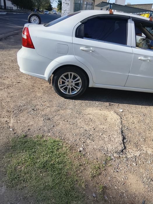 Other Nexia 2020 — 3