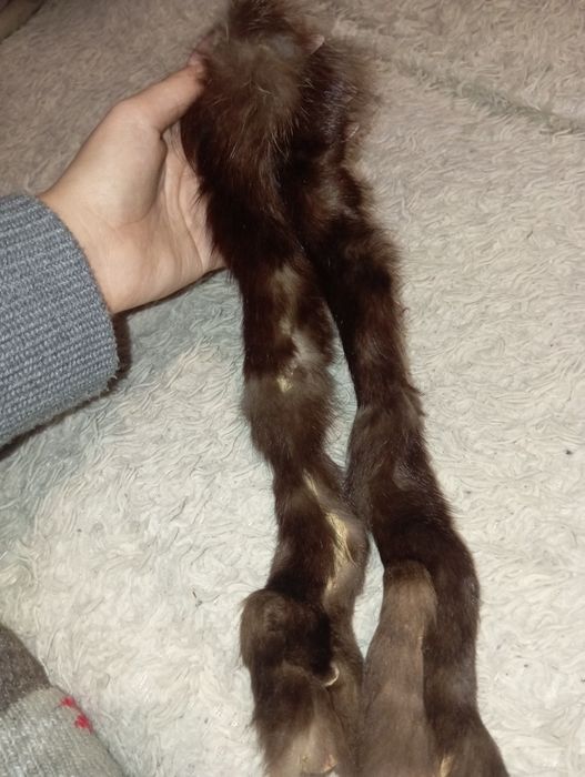 Продам кожу животных