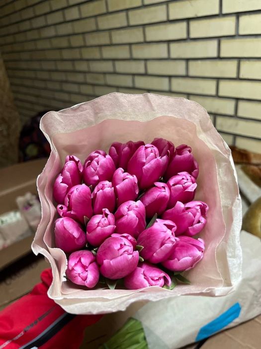 Белорусские тюльпаны оптом