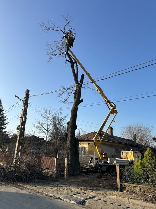 Nacela Bolintin Vale, Buldo Bolintin Vale, Utilaje Bolintin Vale