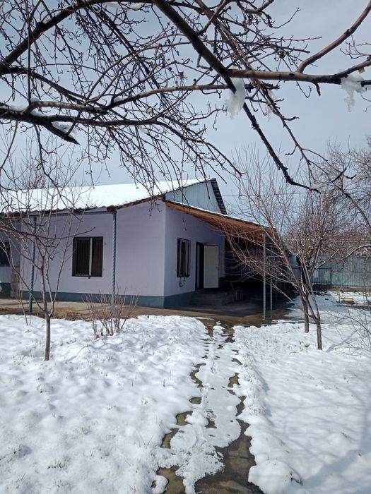 Дача кайнар булак.