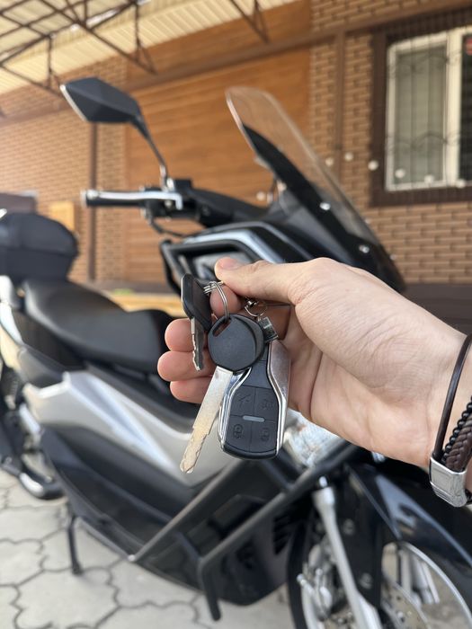 Quantum — Скутер