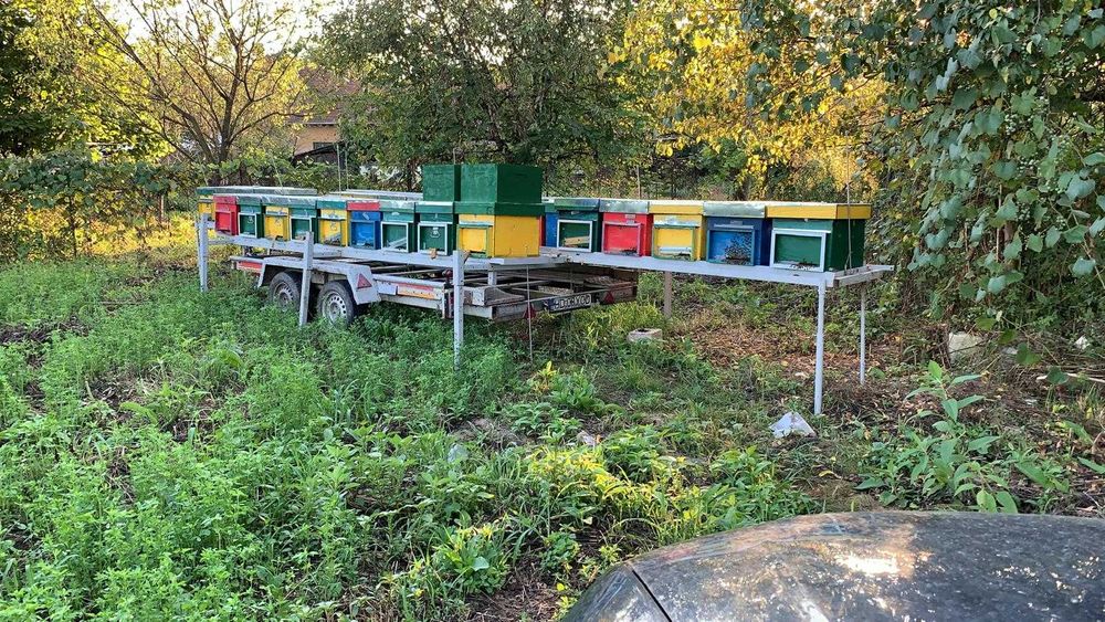 Platforma auto + Rastel apicol