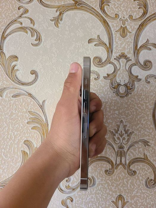 Iphone Iphone 13 pro