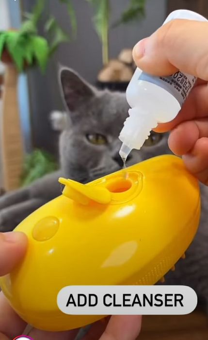 Mytishchi jinsiy aloqa