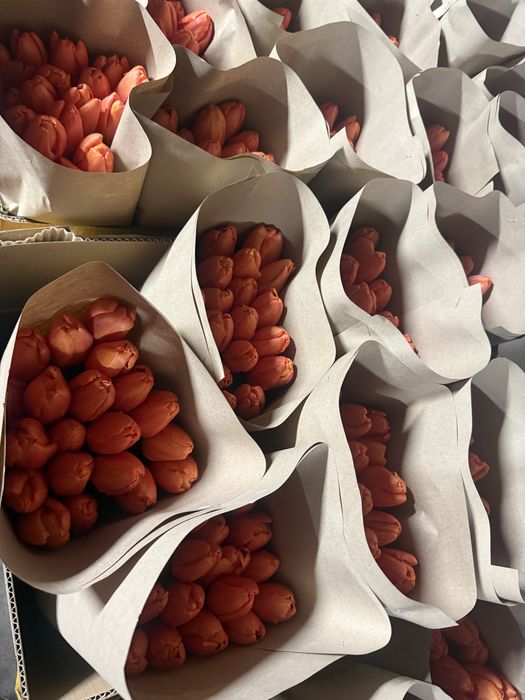 Тюльпаны оптом Алматы