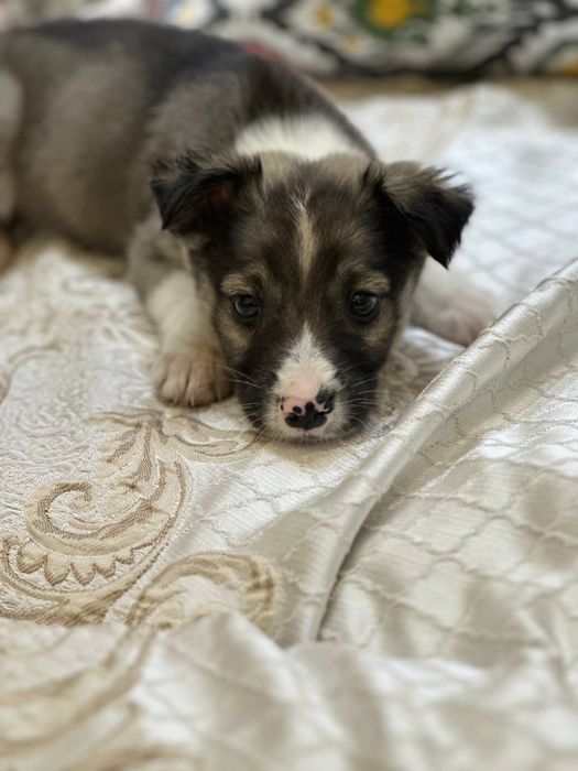 Малышам срочно нужен дом и семья!