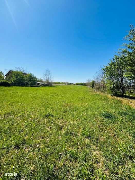 Teren intravilan 3800 mp Alparea lângă pădure