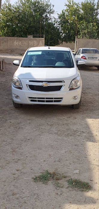 Faqat naqtga salondan uygacha 100 km yurgan