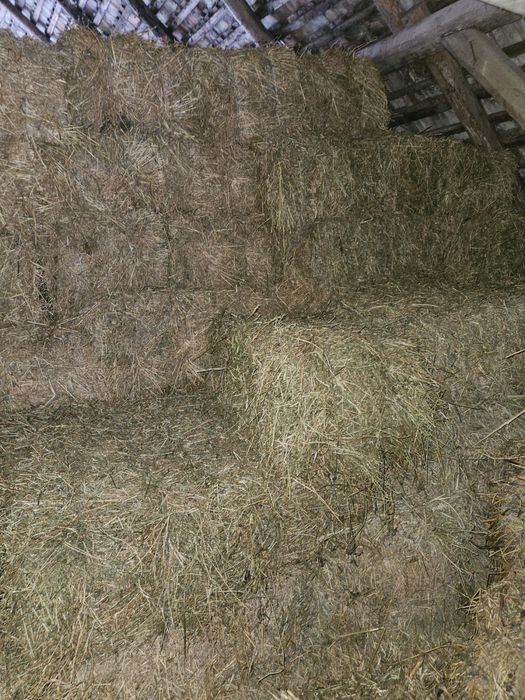 Vand baloti de lucerna