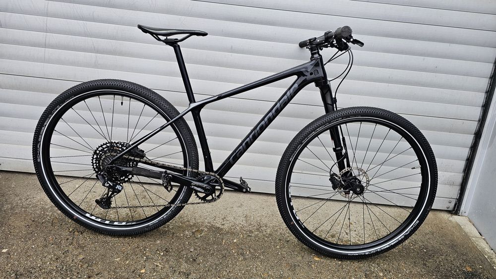 29 " cannondele lefti