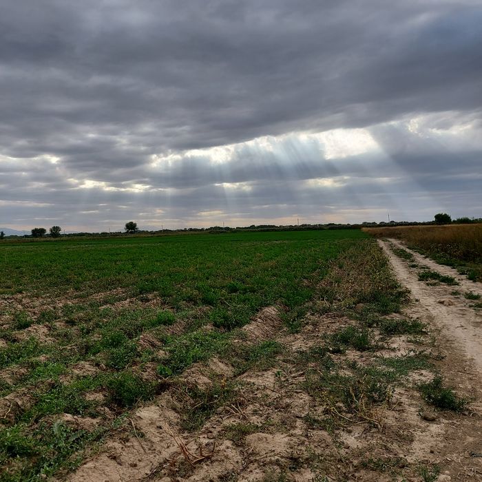 Участок 1га, село Береке