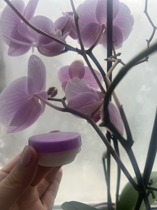 Крем против хемероиди