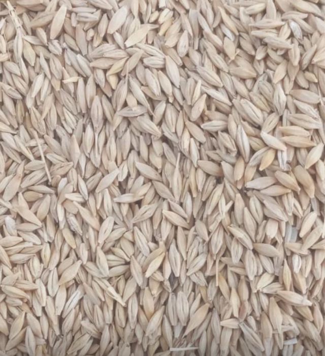 Корма всех видов