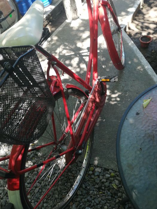 Vind,bicicleta,dama