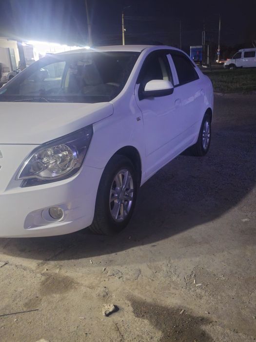 Кобалт 2023й краска тоза