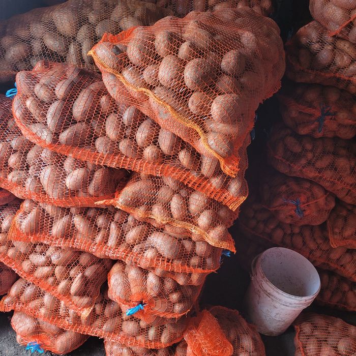 Cartofi la super preț