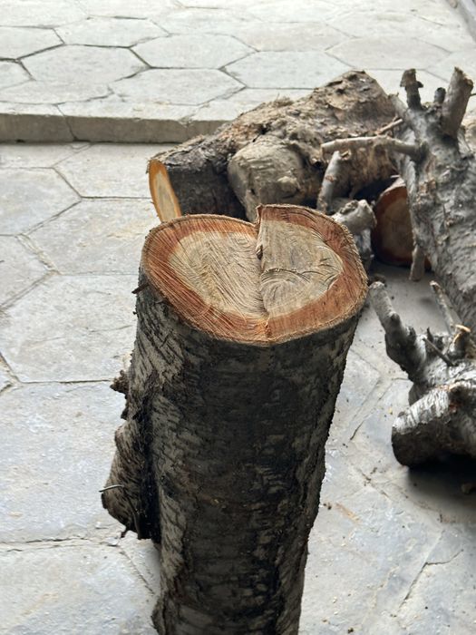 Dekaratsiya va narsalar yasash uchun mosbolgan