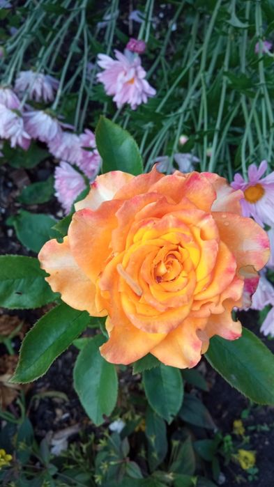 Продам дачу, реальному покупателю торг