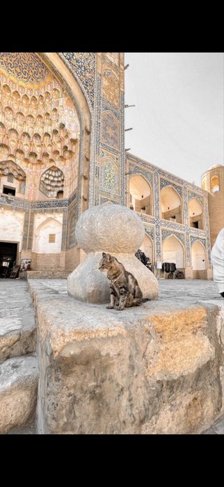 Путешествие по Узбекистану (6 дней / 5 ночей)