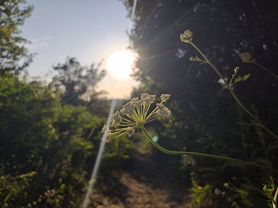 Redmi note 15 pro+
