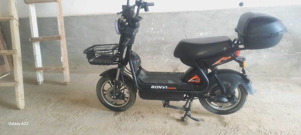 Sukter sotiladi srojna haolati pashti yangi