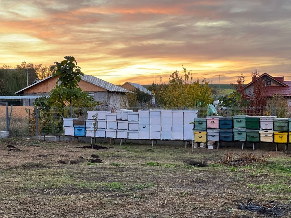 Centrifuga miere patru rame,inox