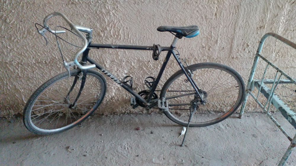 velek stevens sotiladi