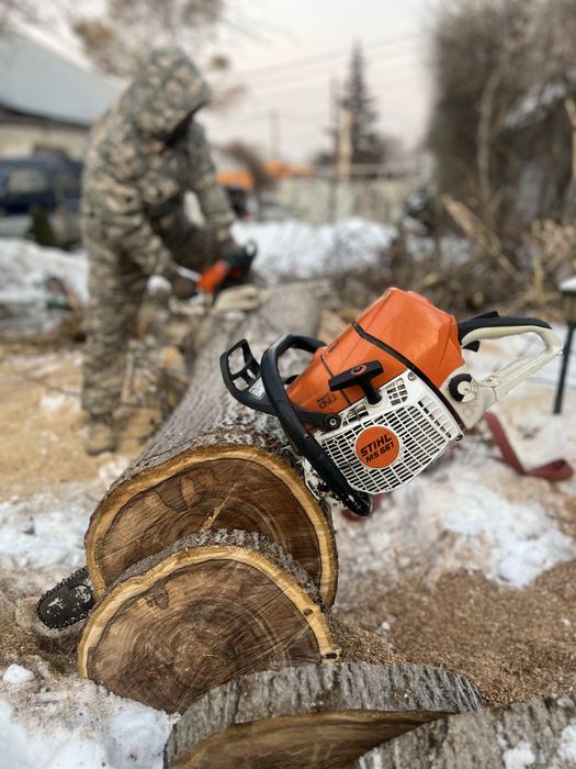 15.000 тенге. Спил деревьев,аварийных деревьев