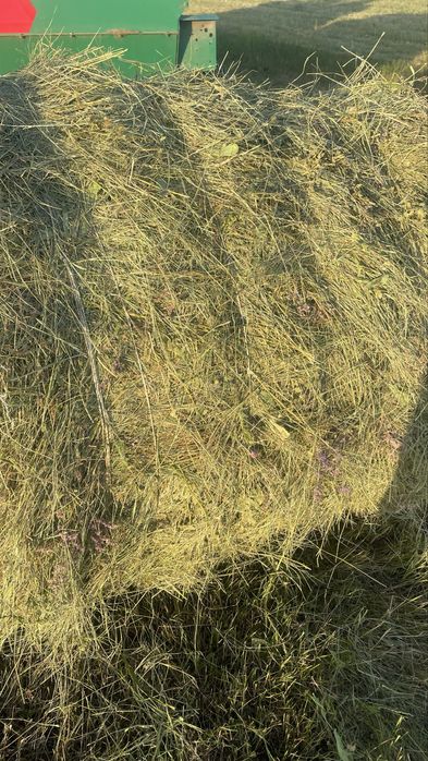 Продам сено в рулонах 200 кг