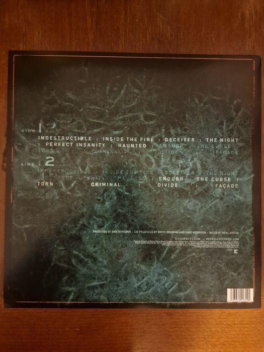 Vinyl disturbed Indestructible