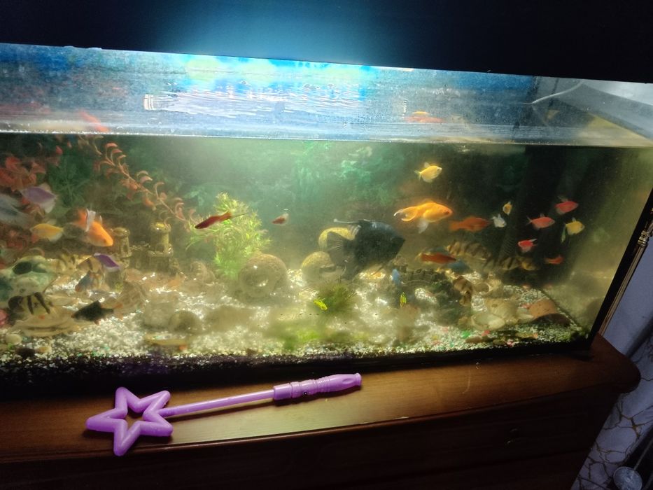 Аквариум 120л с рыбками