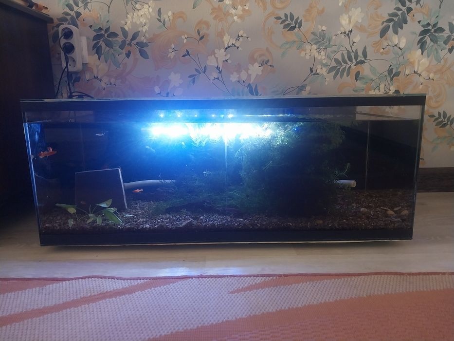 Продам аквариум 100л